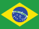 Brazilian Flag