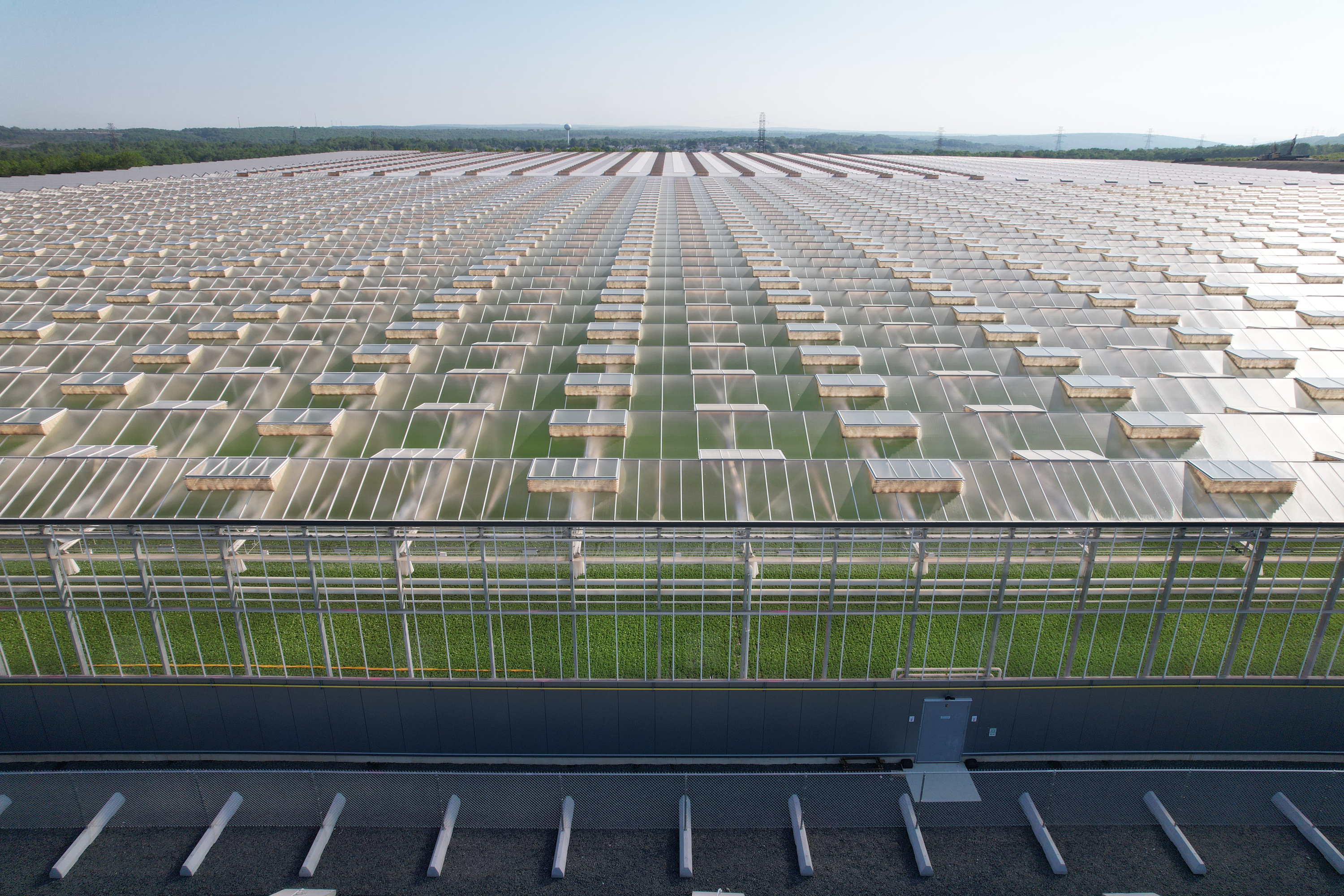Aerial view of an indoor farm, with plants viewable through the transparent roof